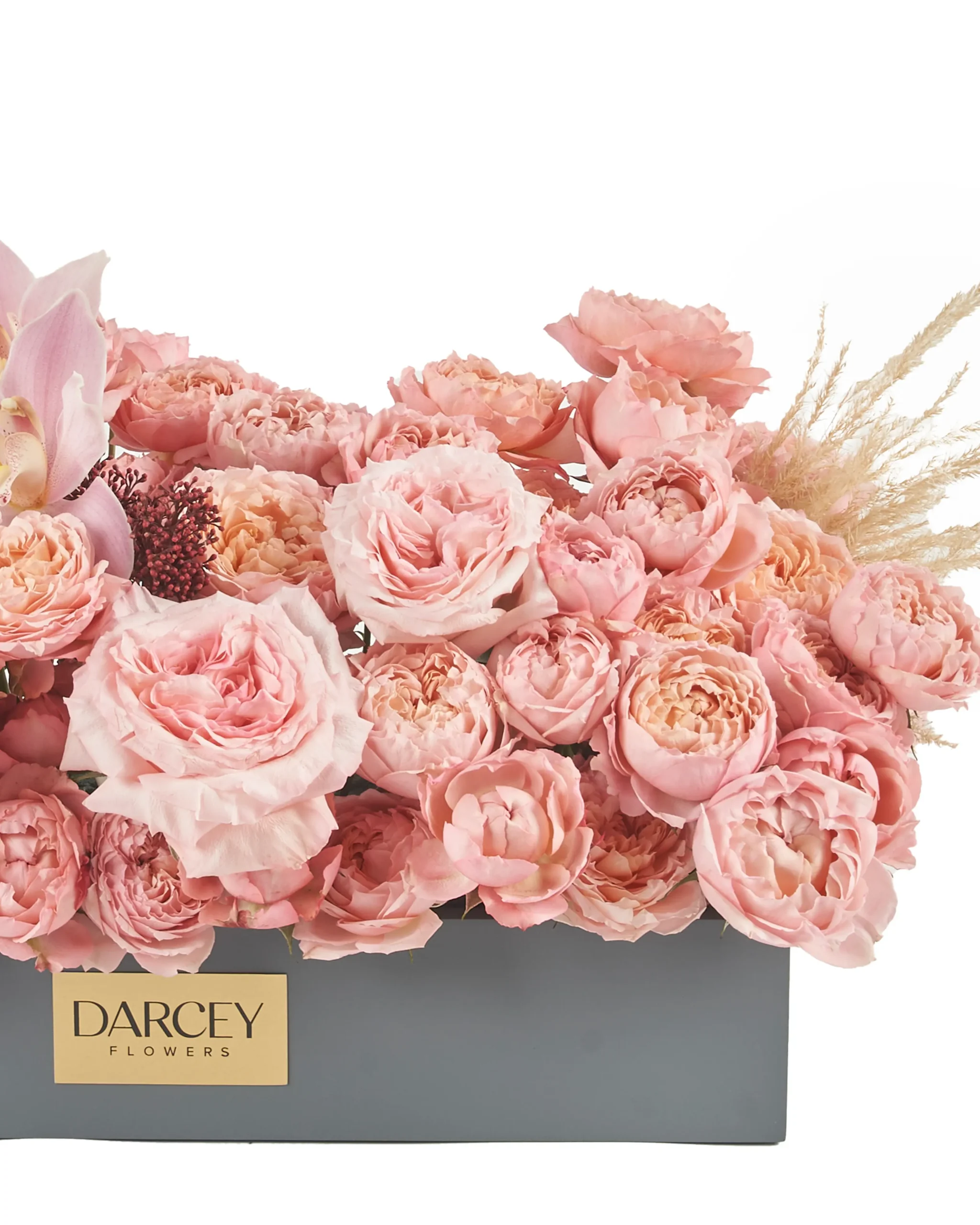 FROM THE HEART reshoot 2 2 2024 scaled FROM THE HEART reshoot 2 2 2024 scaled