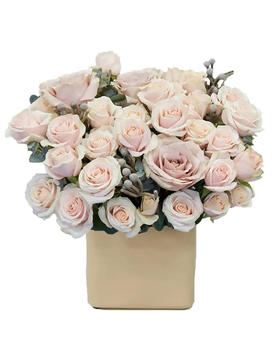 Hey Marianne Reshoot Edited2 Hey Marianne Reshoot Edited2