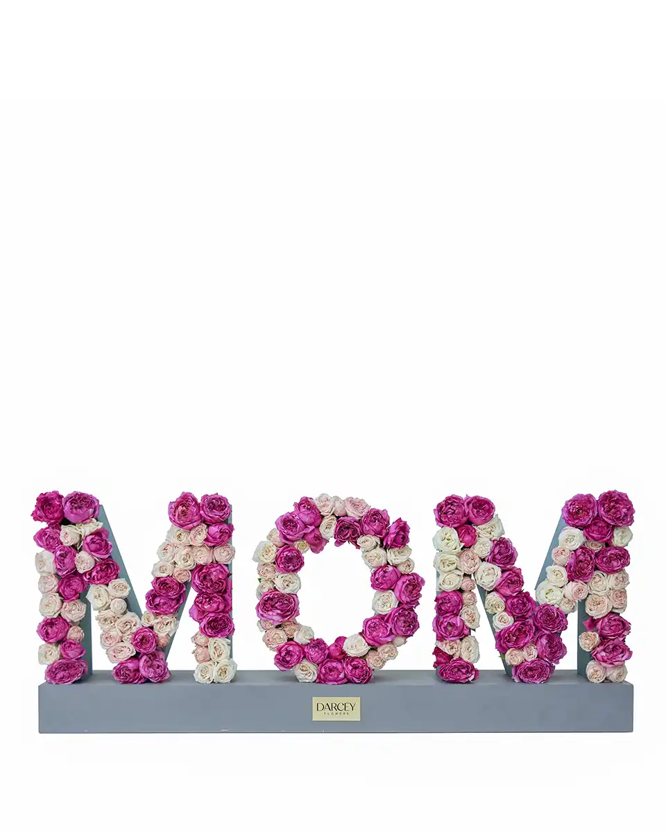 Surprise For Mom 2025 Surprise For Mom 2025
