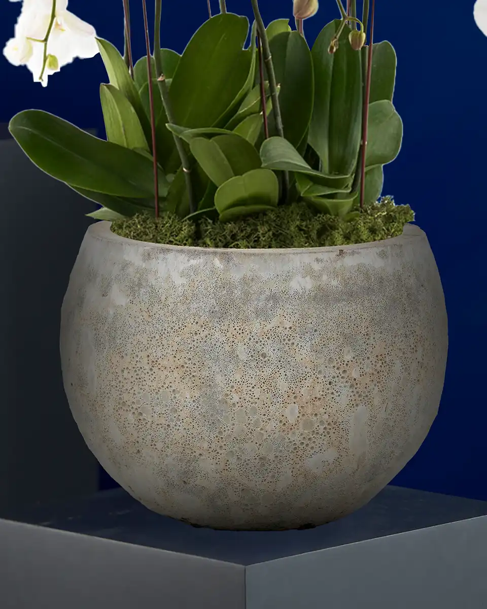 Timeless Details2 Edited 3 Sep Timeless Details2 Edited 3 Sep