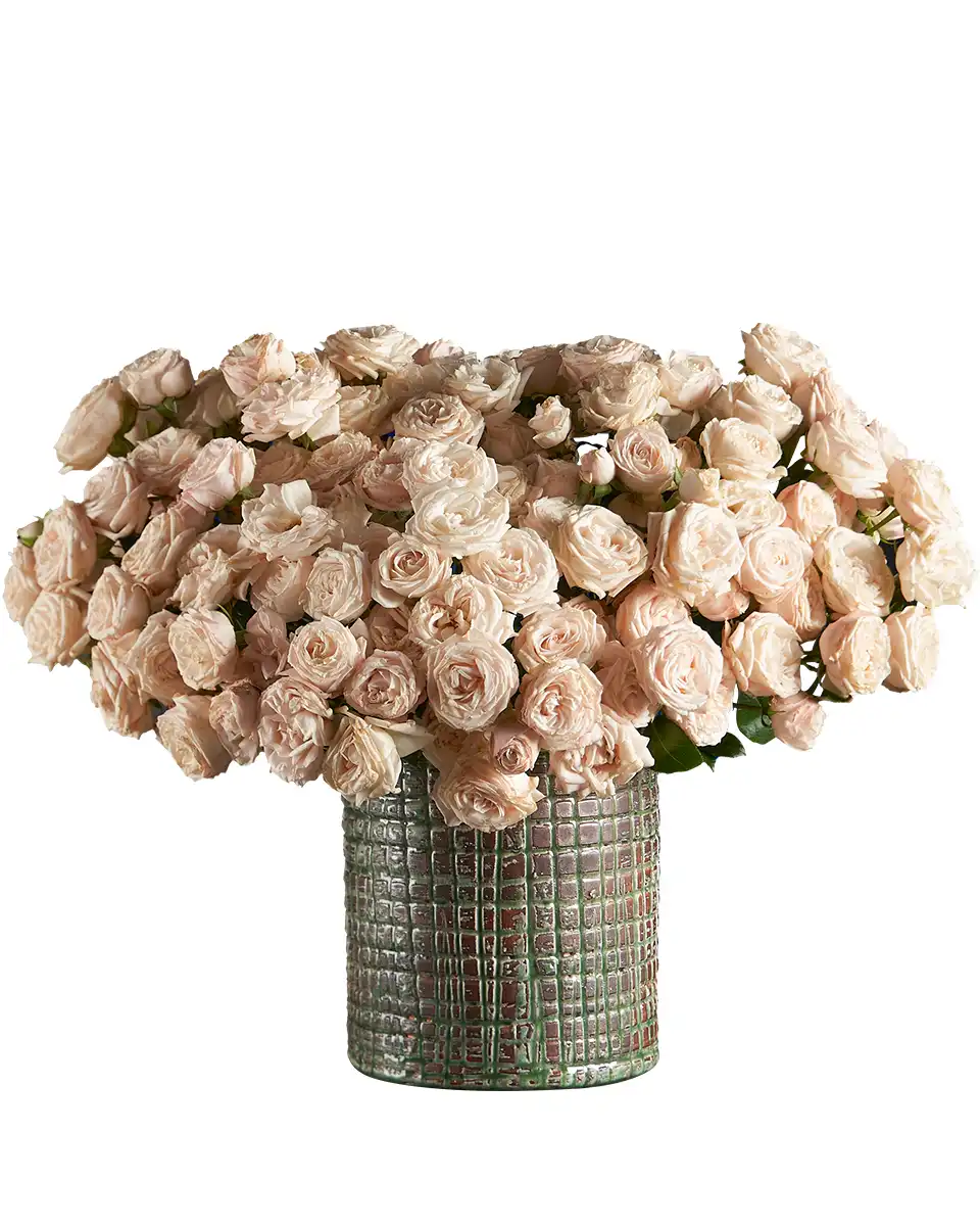 Fantastic Bombastic Front Fantastic Bombastic Front