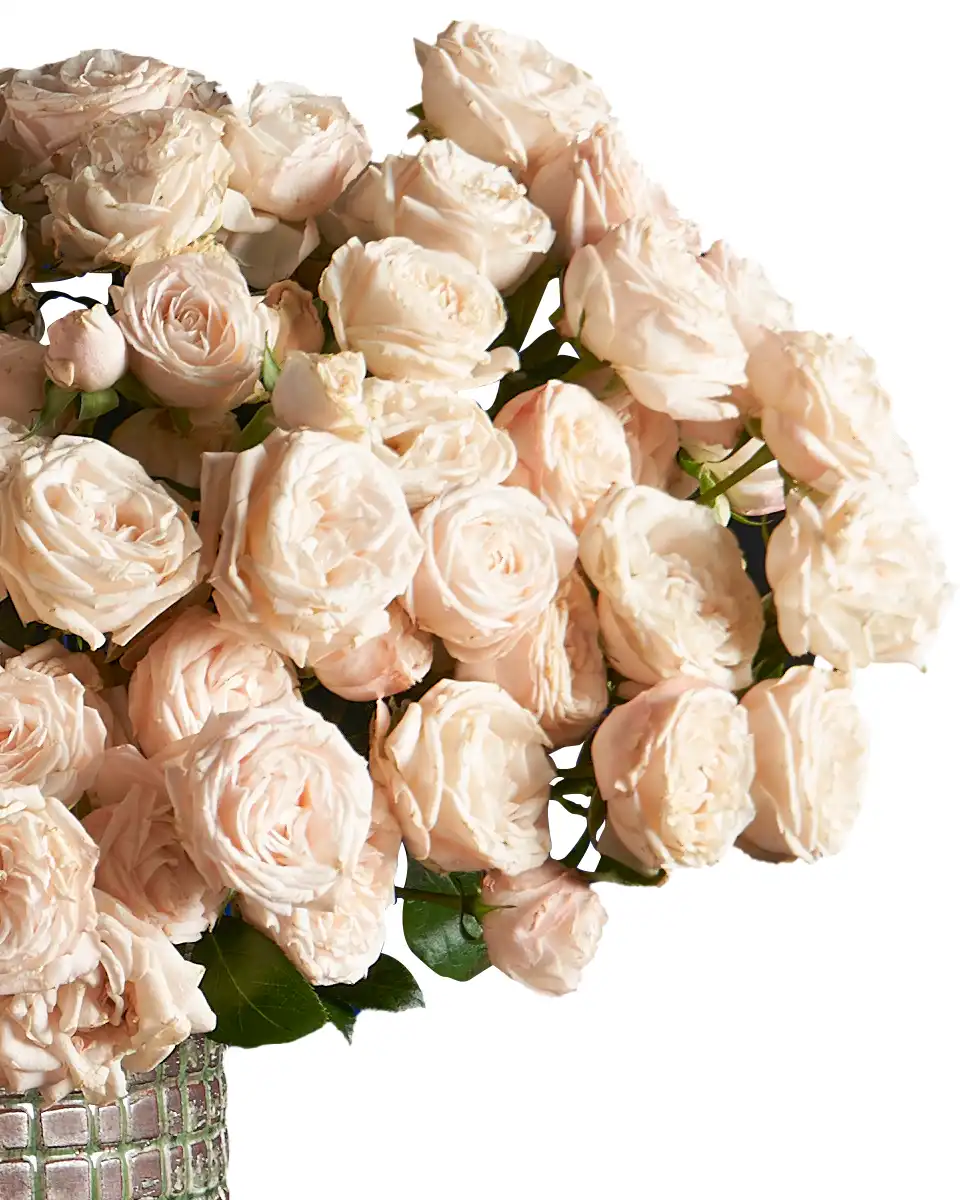 Fantastic Bombastic Left Fantastic Bombastic Left