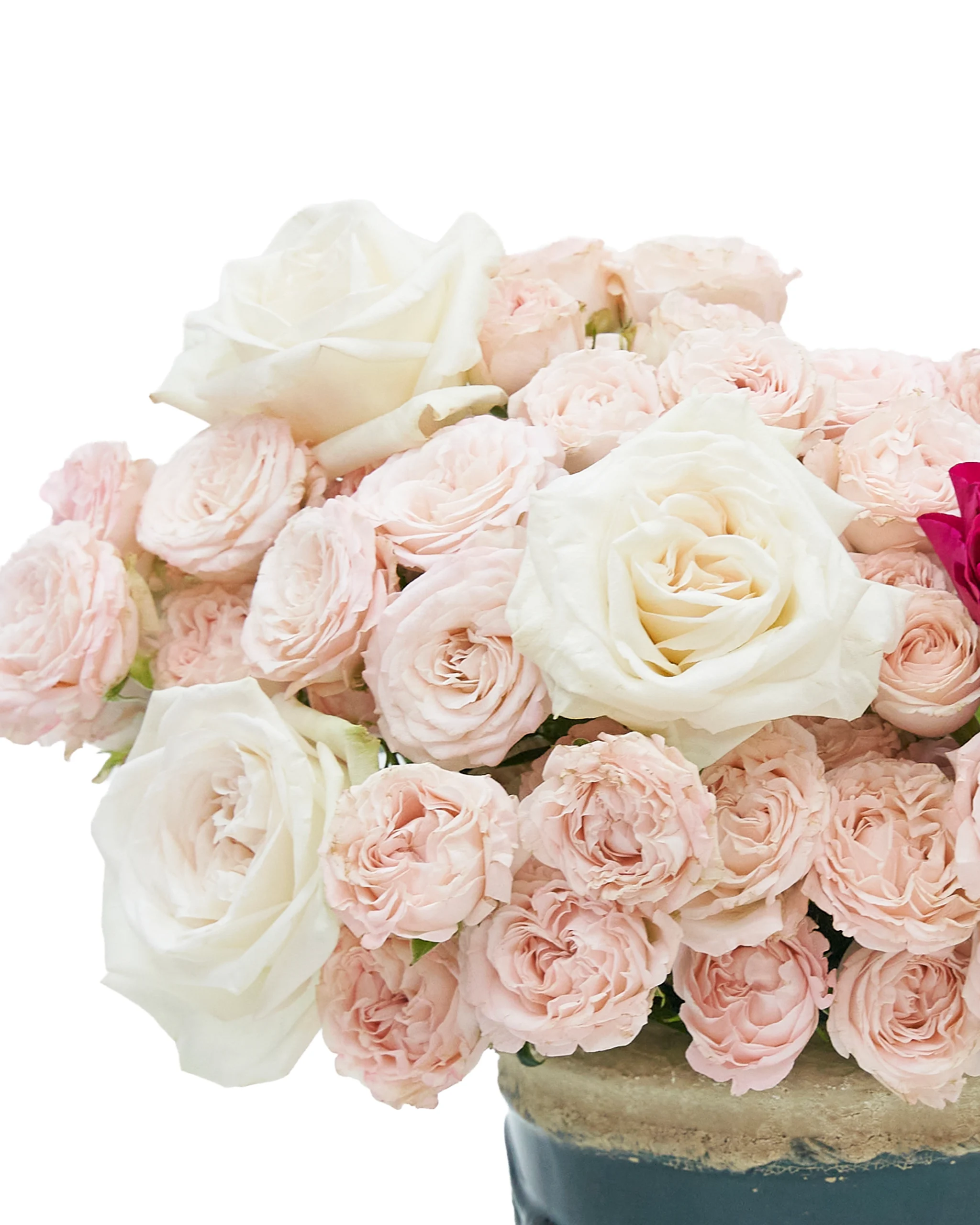 Lovely Blooms reshoot2 Lovely Blooms reshoot2