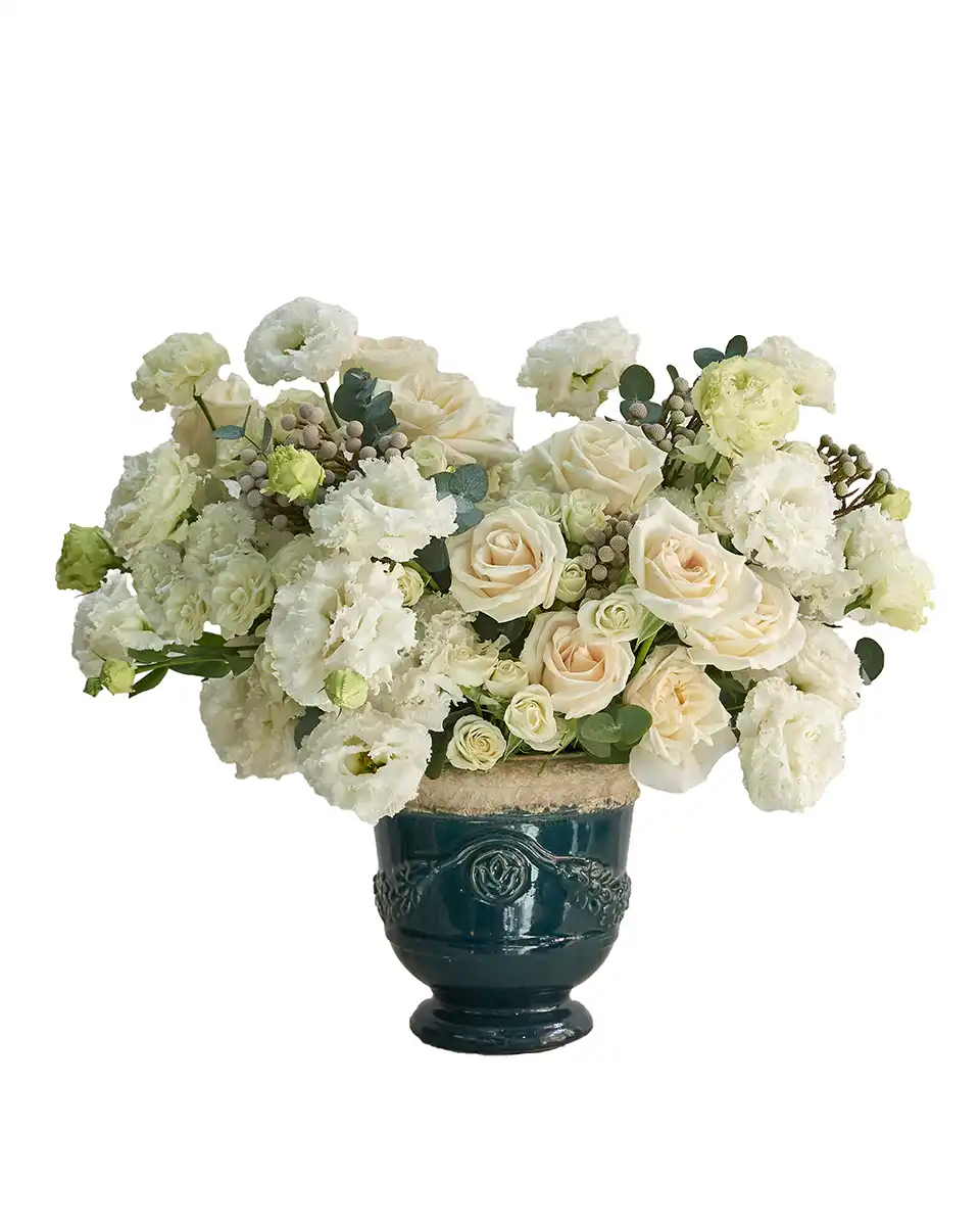 White Sparkle White Sparkle