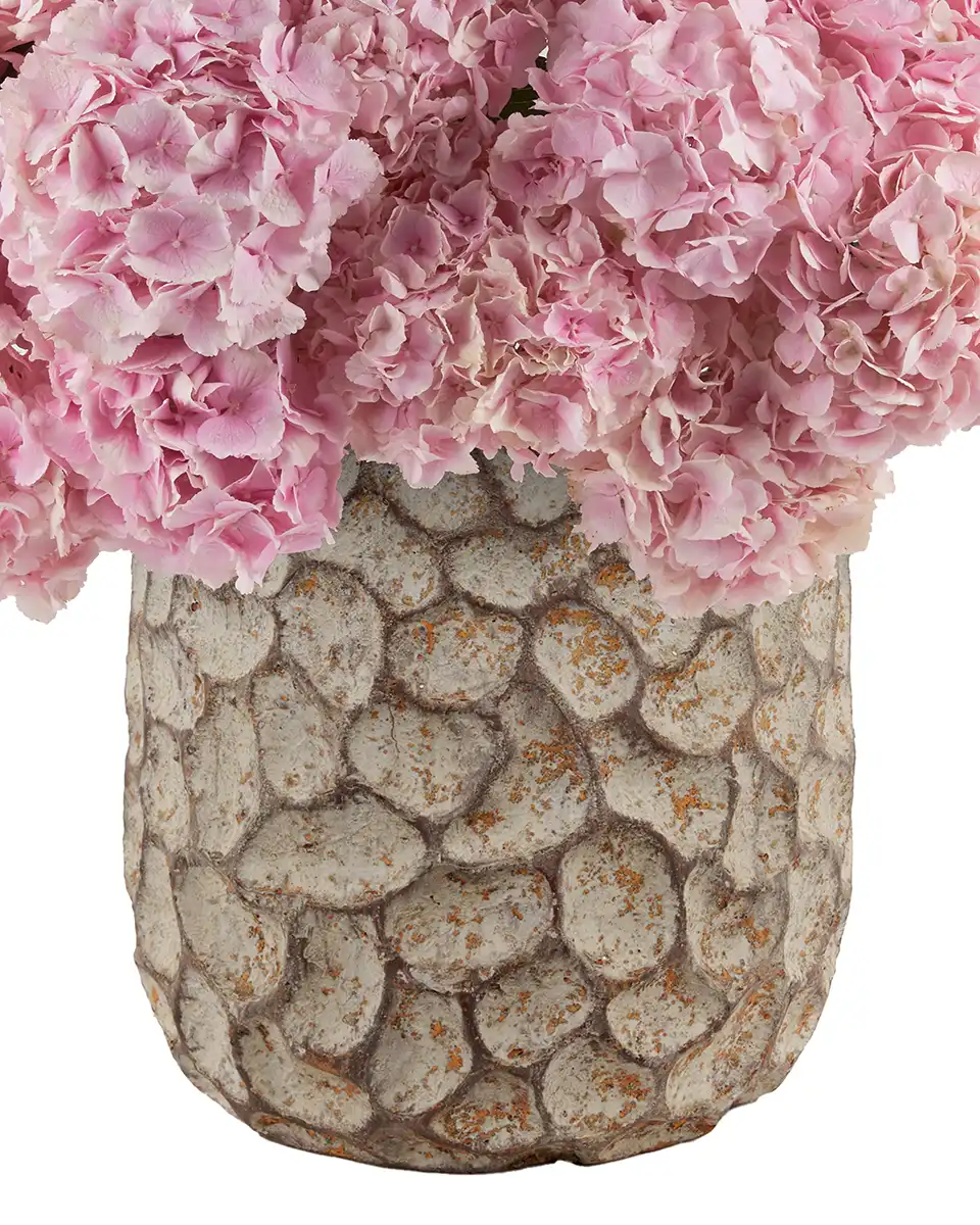 Very Pink 2026 Details 2 Very Pink 2026 Details 2