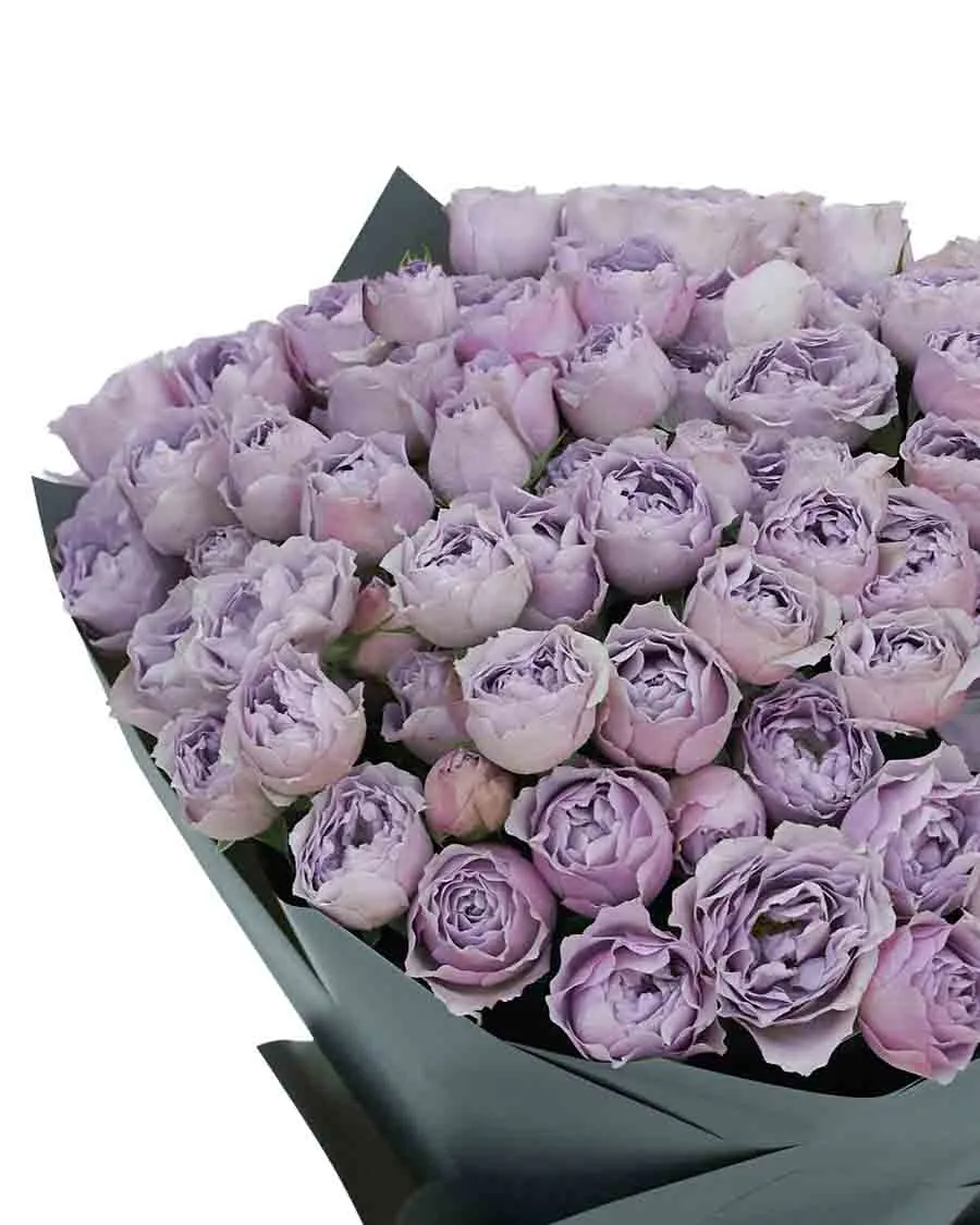 Lavender Bubbles Impressive Details Lavender Bubbles Impressive Details