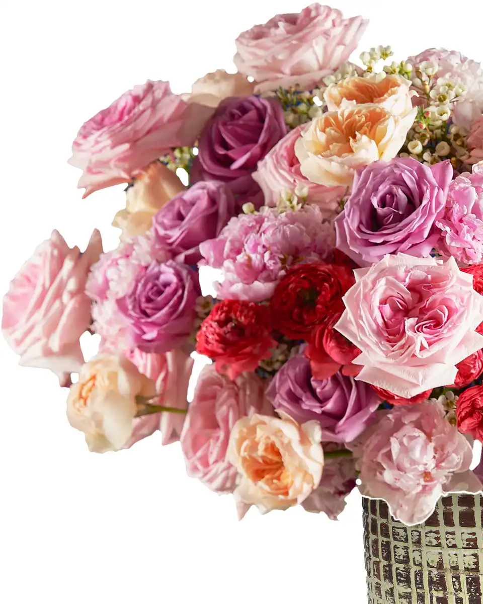 Beauty Queen Edtied2 Beauty Queen Edtied2