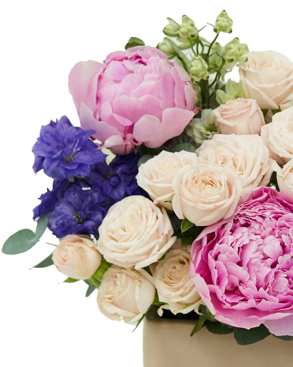 Bubbly Pink 2024 Side2 Bubbly Pink 2024 Side2