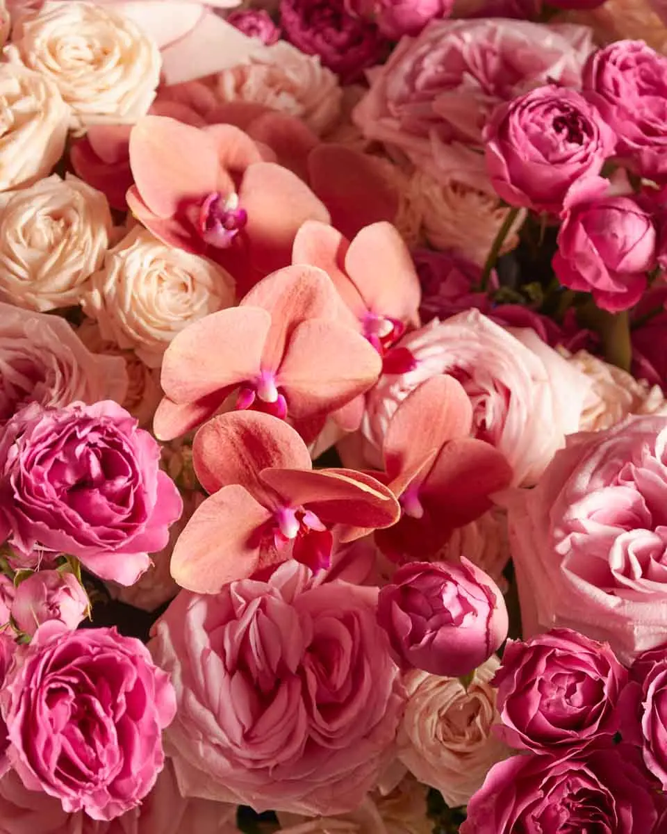 DARCEY CHOICE CHANGE TO GOLD VASE 2 DARCEY CHOICE CHANGE TO GOLD VASE 2