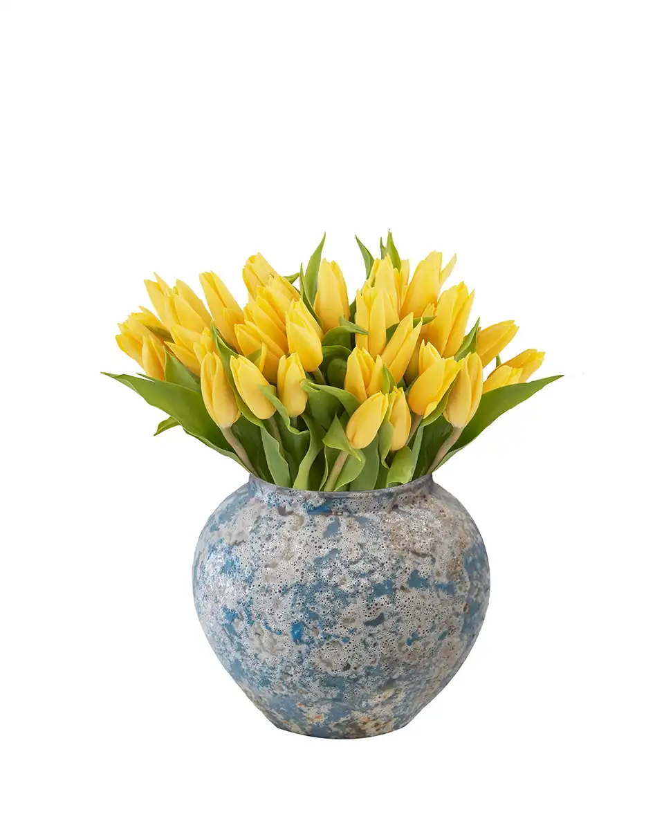 Dazzling Yellow on a Vase Feb 2026 Dazzling Yellow on a Vase Feb 2026