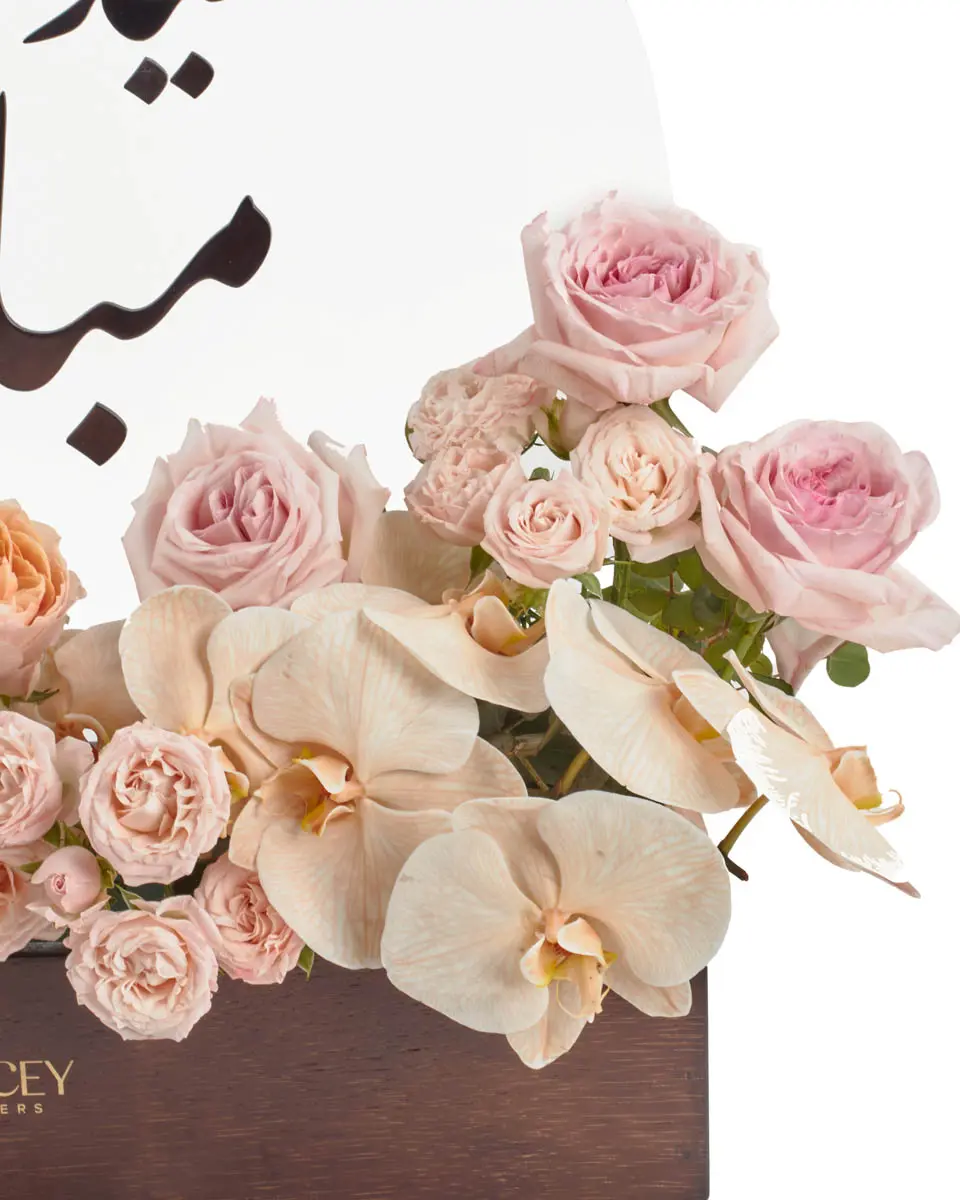 Gift of RenewalIMG 2882 Gift of RenewalIMG 2882