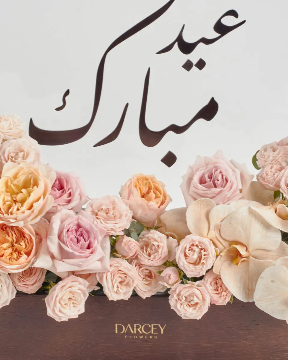 Gift of RenewalIMG 2883 Gift of RenewalIMG 2883