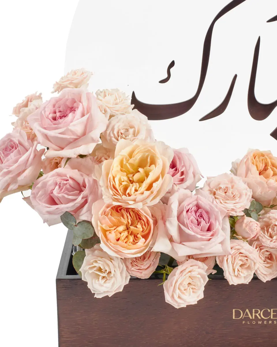 Gift of RenewalIMG 2884 Gift of RenewalIMG 2884