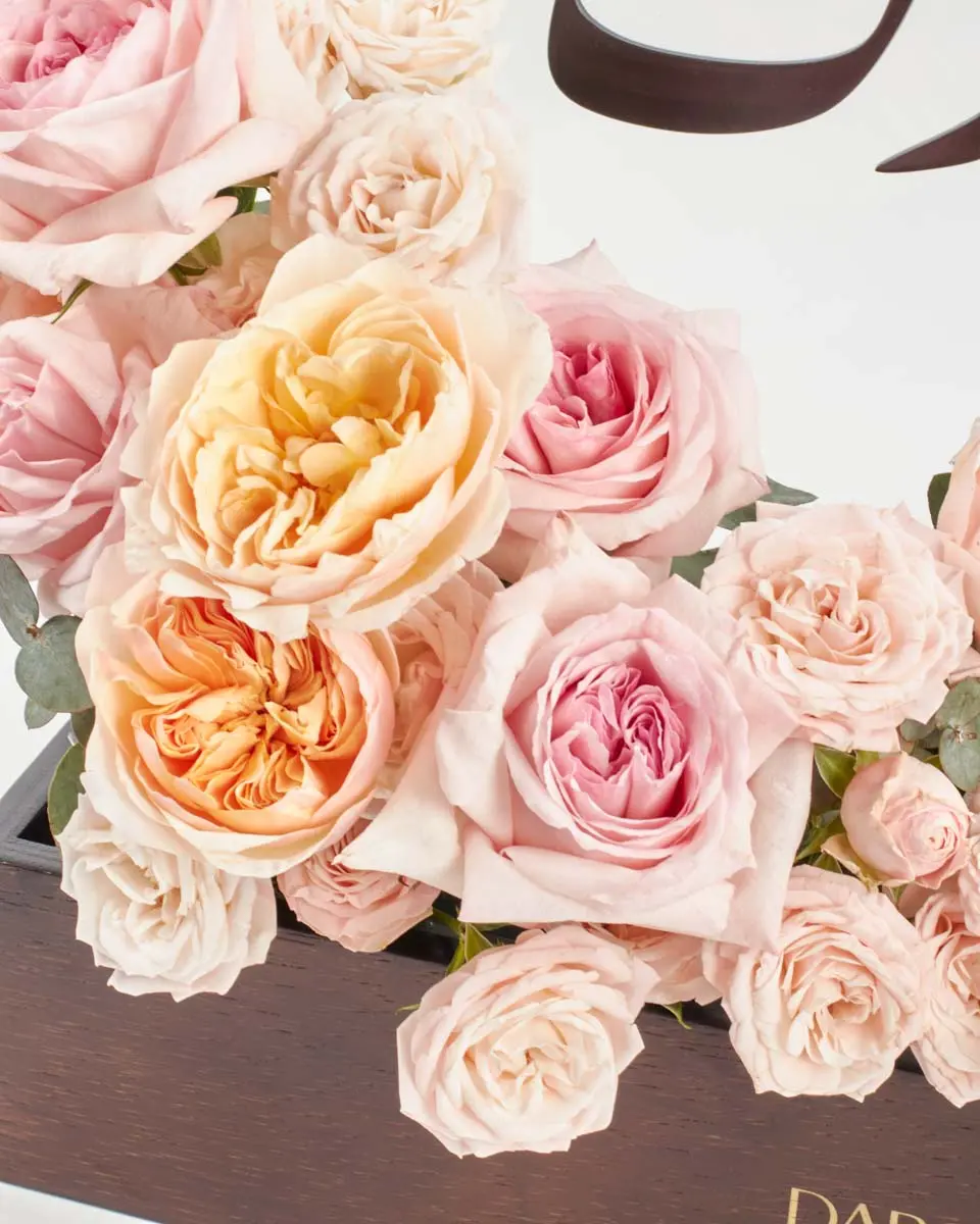 Gift of RenewalIMG 2886 Gift of RenewalIMG 2886