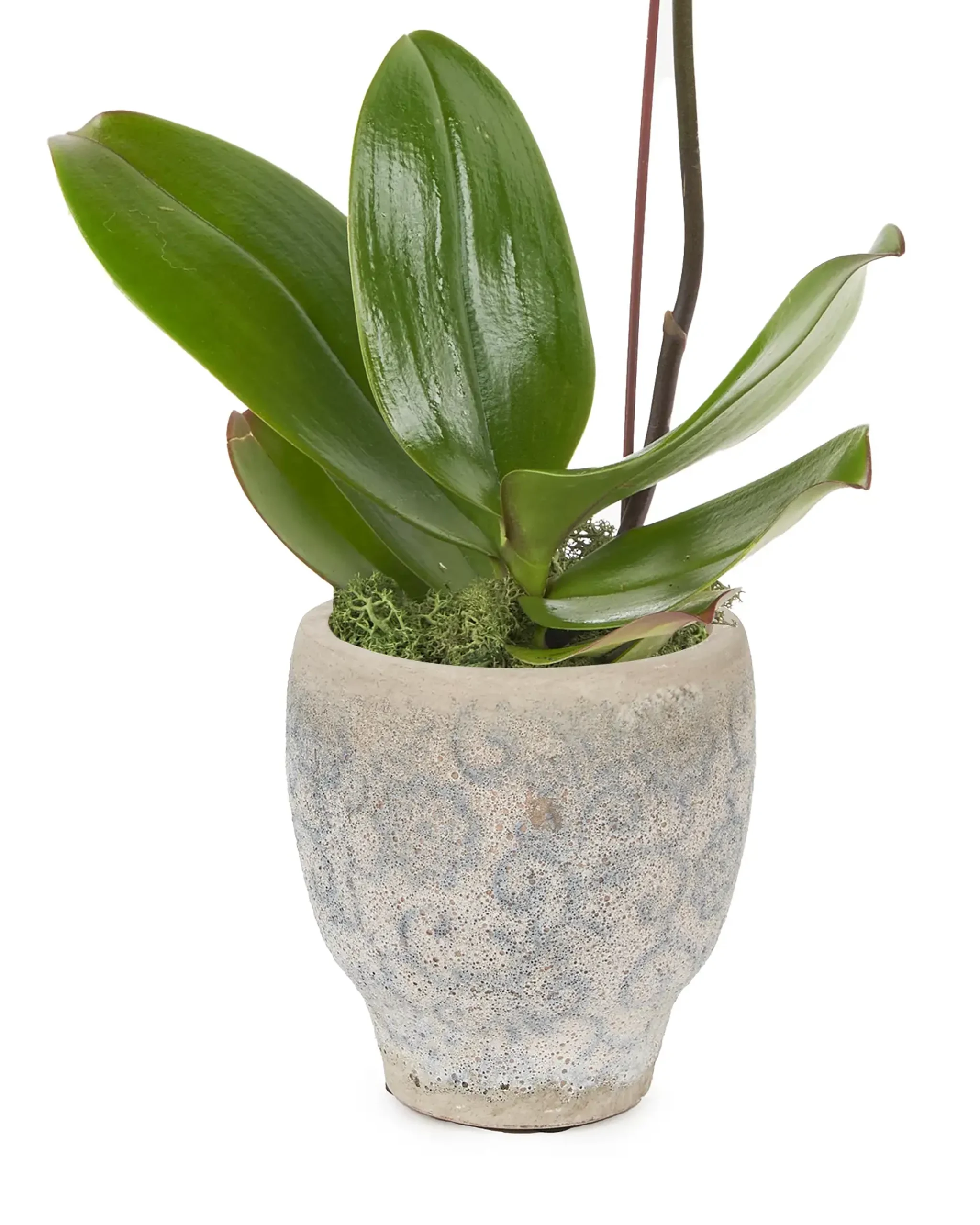 Golden Treasure JUNE 15 2023 copy scaled 1 Golden Treasure JUNE 15 2023 copy scaled 1