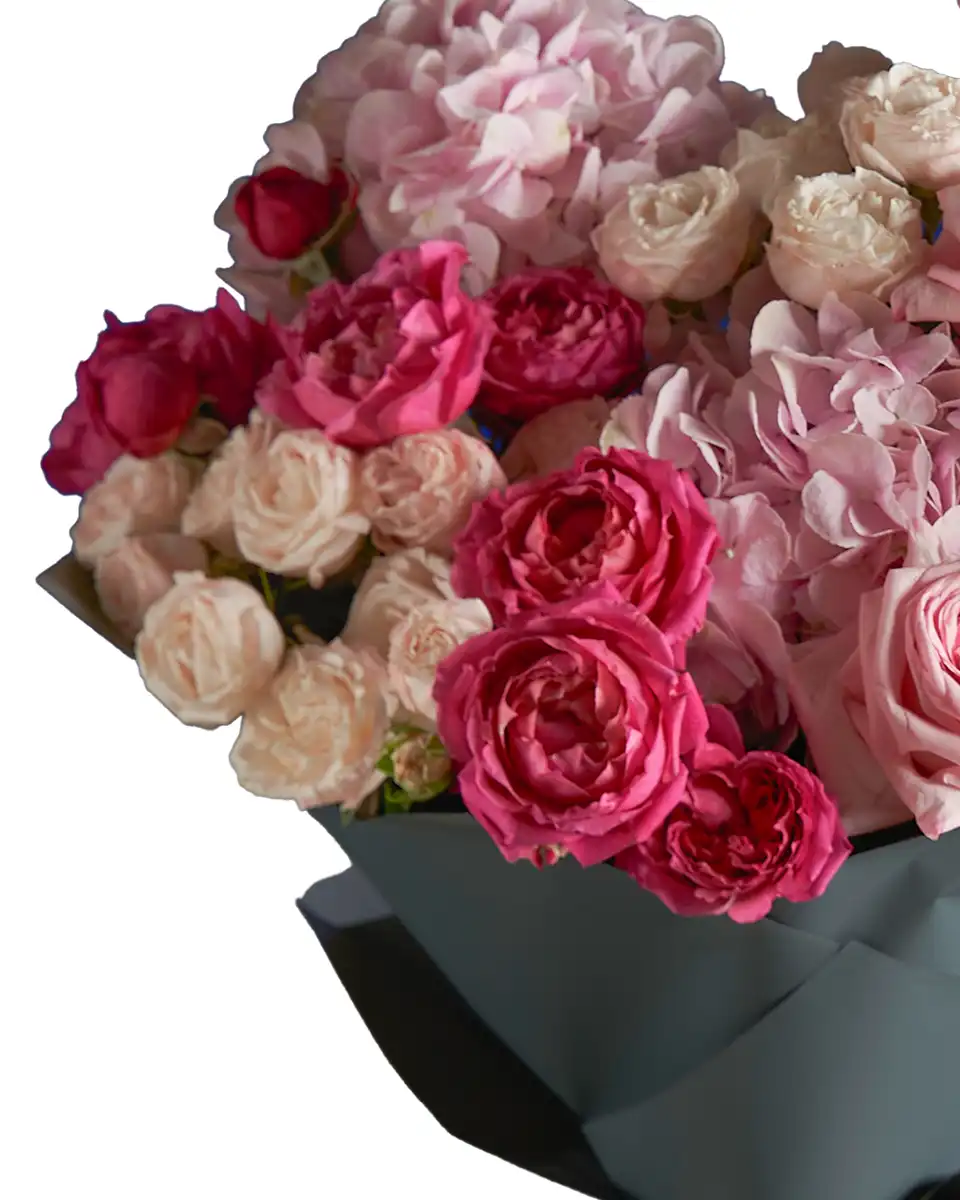 Hello Honey Impressive edited2 Hello Honey Impressive edited2