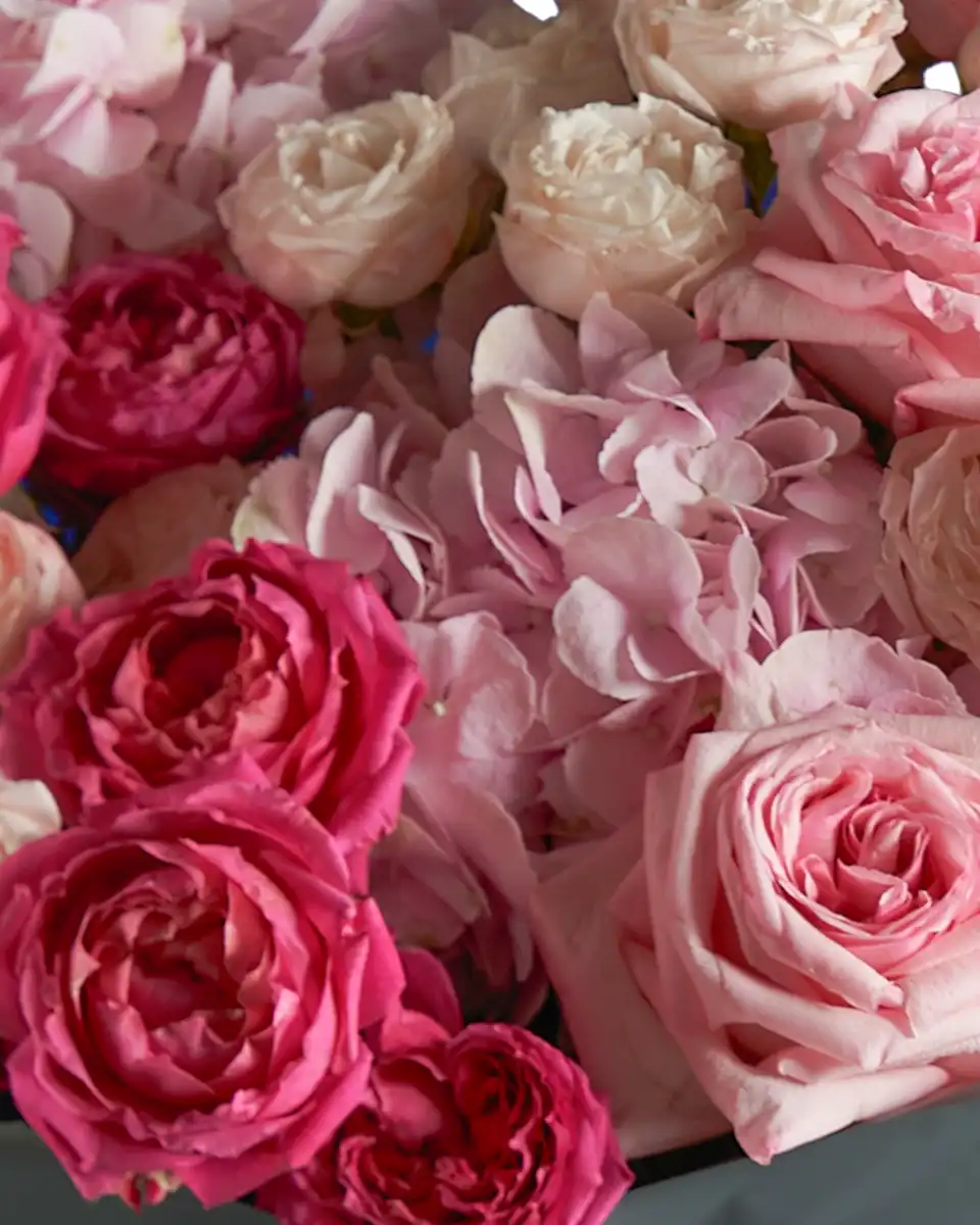 Hello Honey Impressive edited3 Hello Honey Impressive edited3