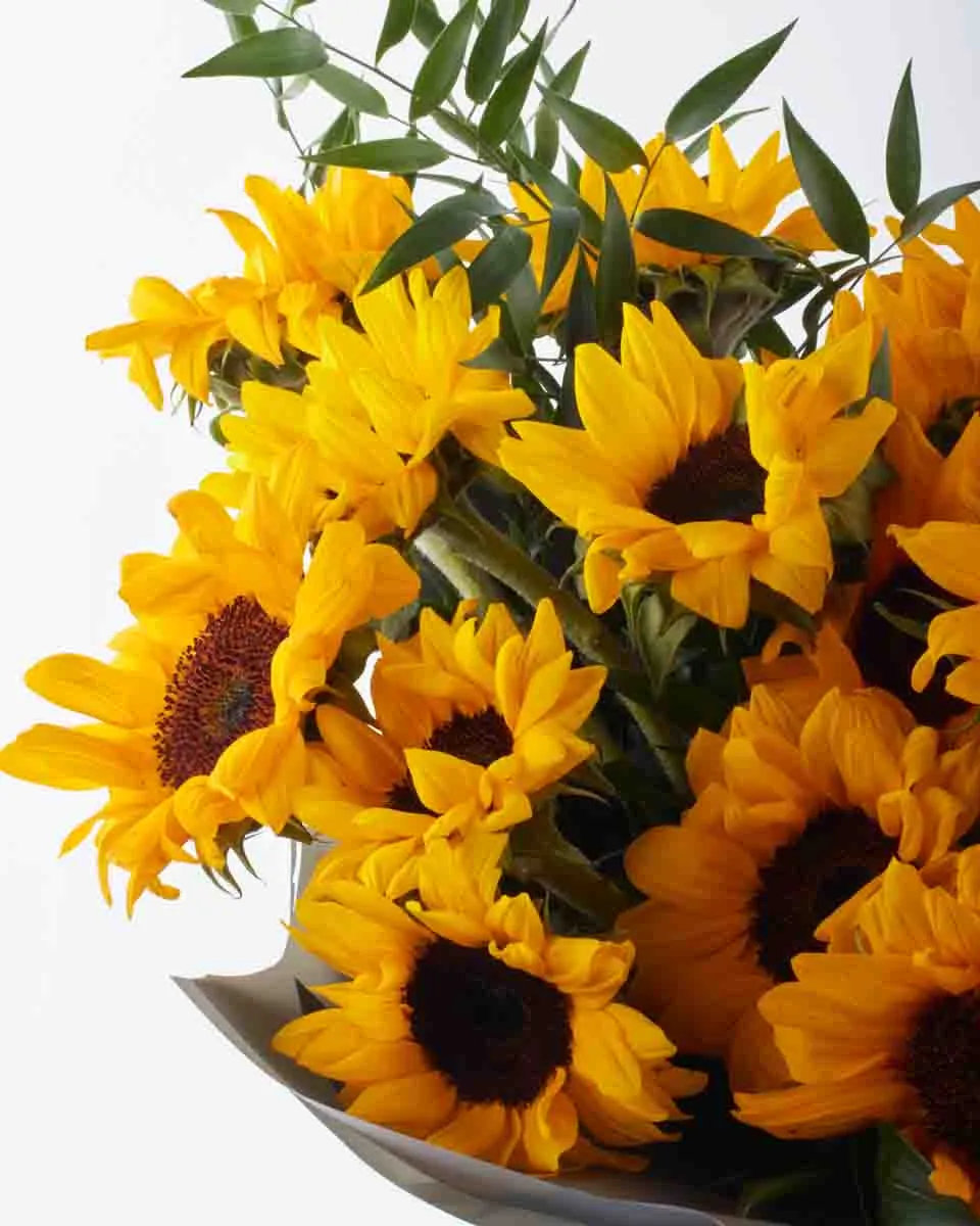 Hello Sunflower SUPERB JUNE 9 2023 1 Hello Sunflower SUPERB JUNE 9 2023 1