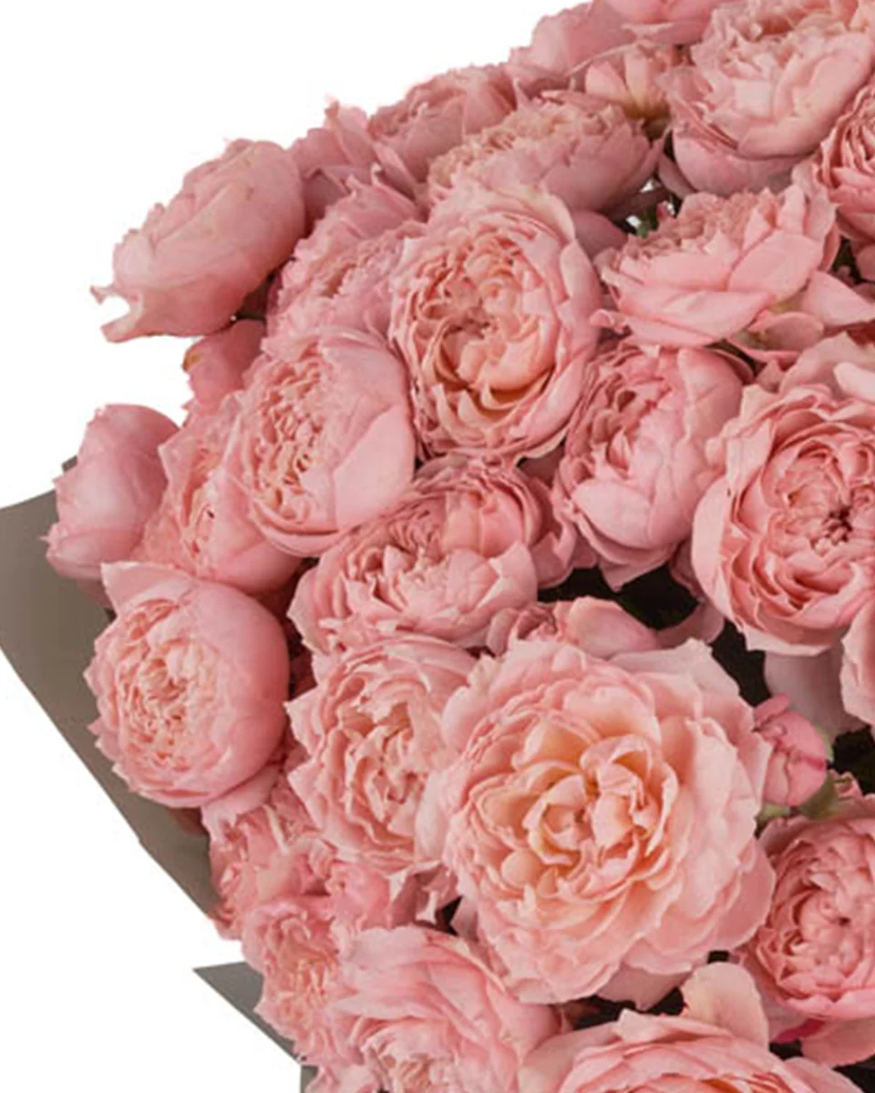 JULIETA HAND TIED Superb 2025 2 JULIETA HAND TIED Superb 2025 2