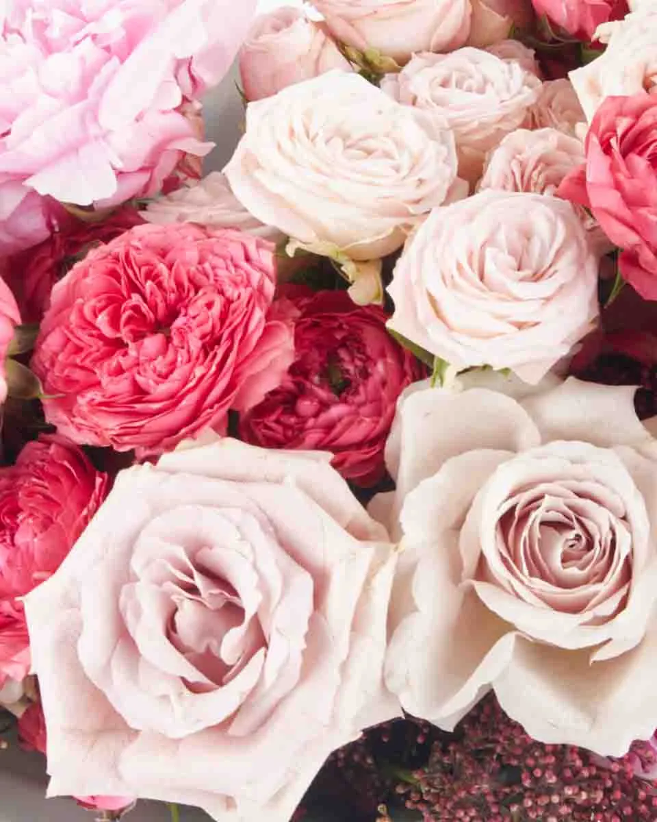 Jamilah impressive JUNE 22 2023 1 Jamilah impressive JUNE 22 2023 1