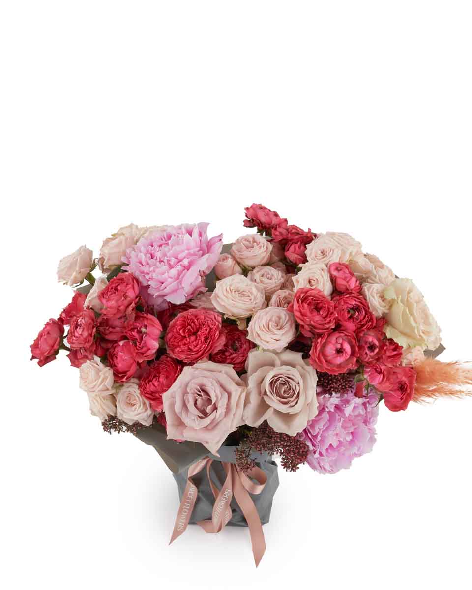 Jamilah impressive JUNE 22 2023 Jamilah impressive JUNE 22 2023