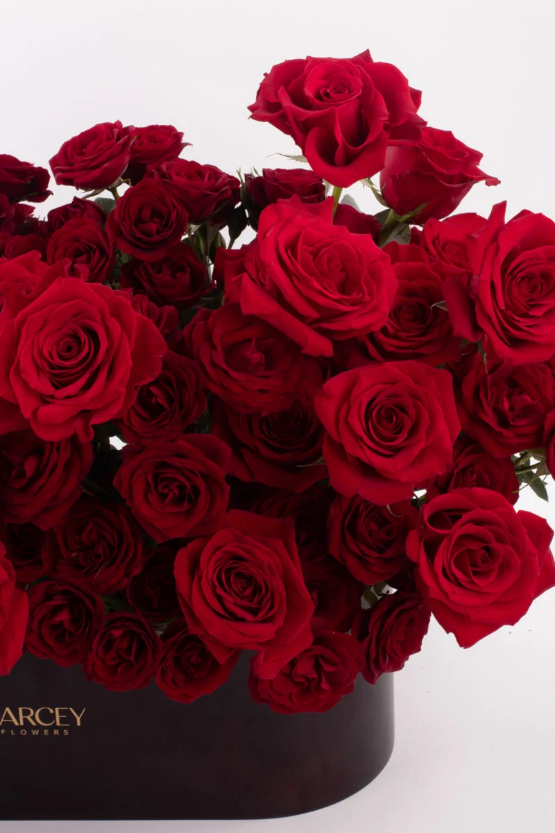 Kiss Me Red VASE 6 1 Kiss Me Red VASE 6 1