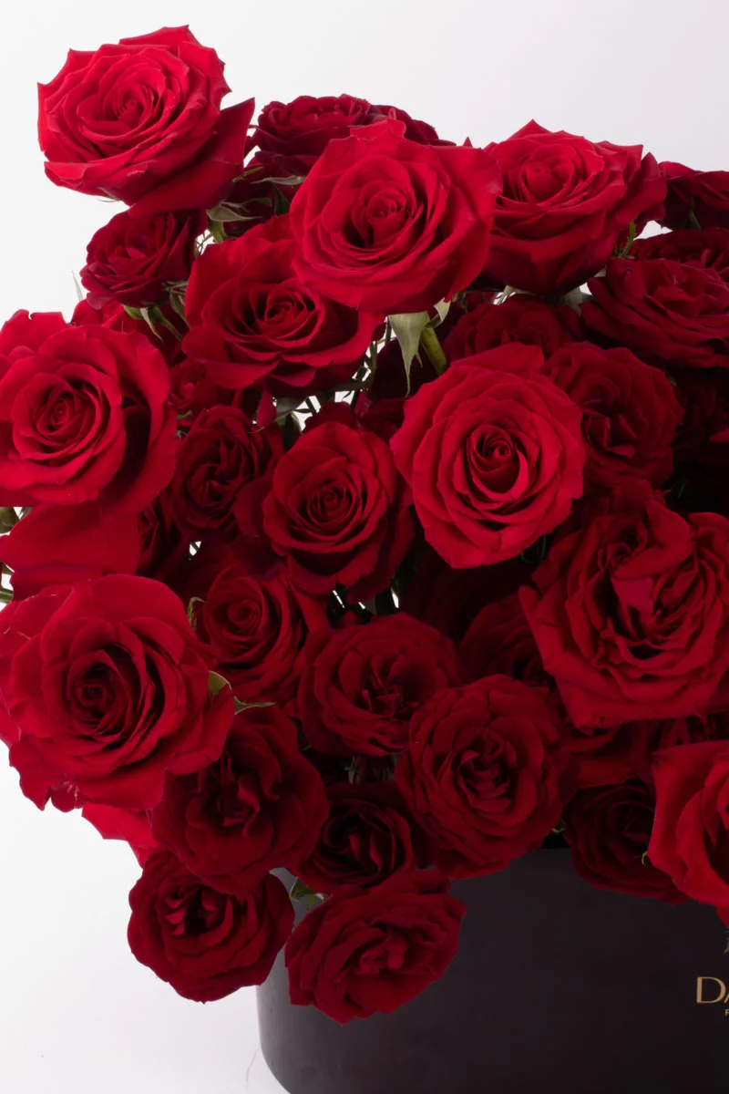 Kiss Me Red VASE 6 2 Kiss Me Red VASE 6 2