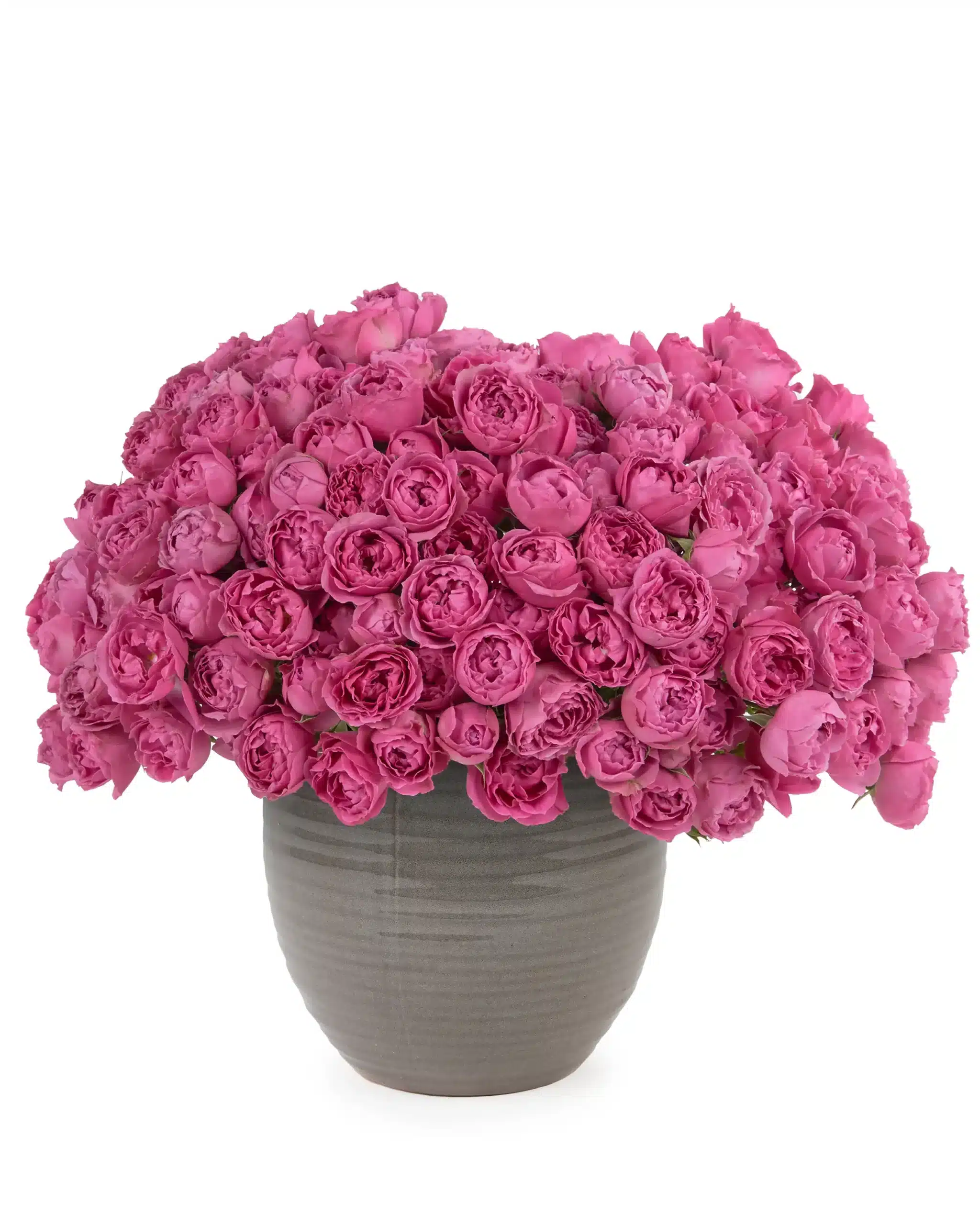 MERRY MISTY scaled 1 MERRY MISTY scaled 1