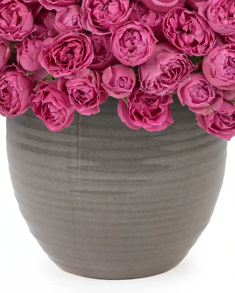 MERRY MISTY 3 July 3 2024 2 MERRY MISTY 3 July 3 2024 2