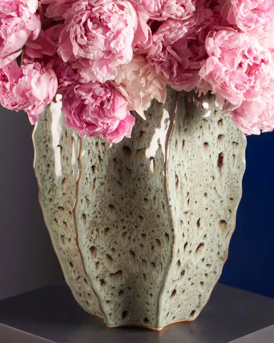 MISS SARAH 3 MISS SARAH 3