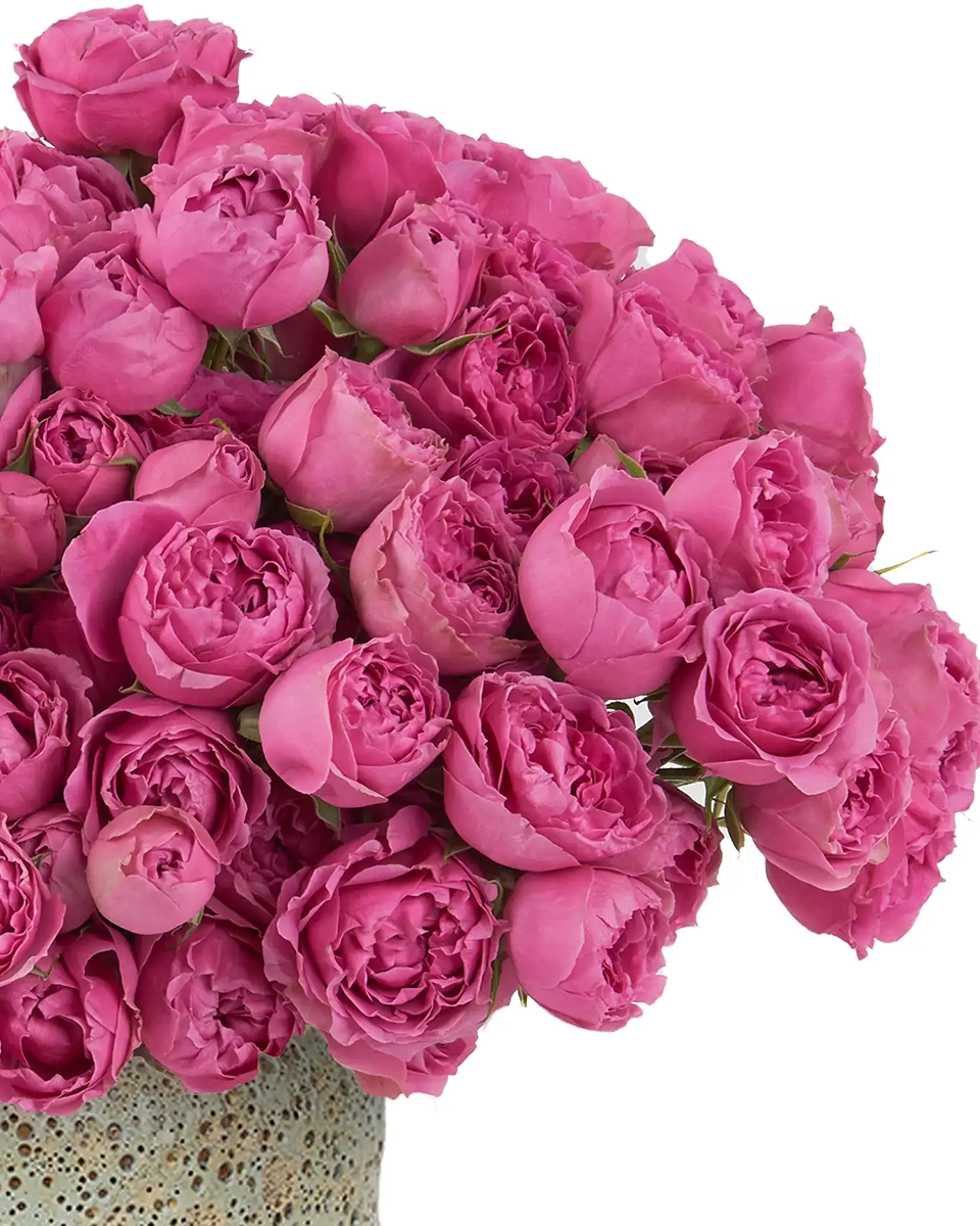 My Baby Love misty bubbles JUNE 17 2023 1 My Baby Love misty bubbles JUNE 17 2023 1