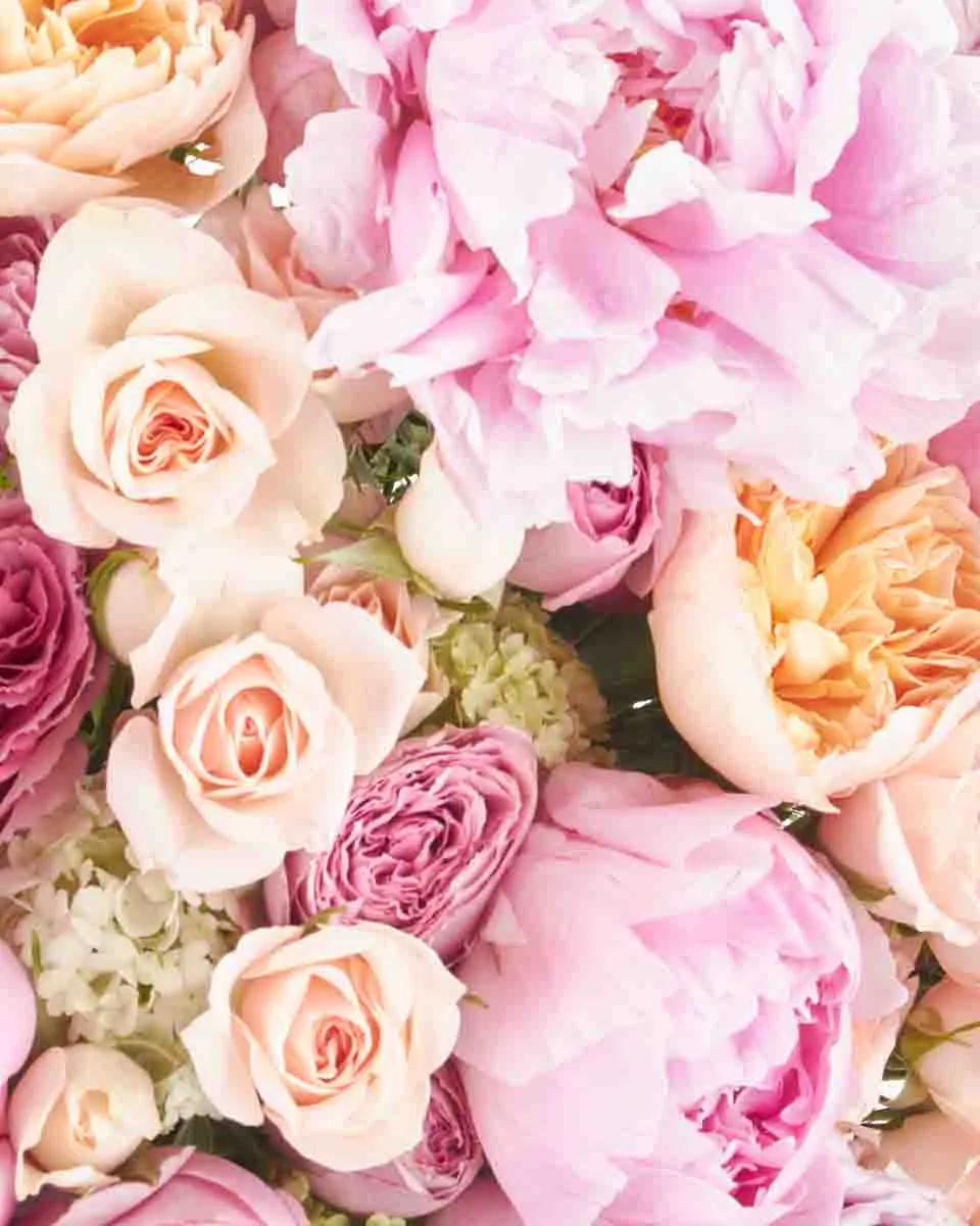 My Love For Pastel JUNE 23 2023 43 My Love For Pastel JUNE 23 2023 43