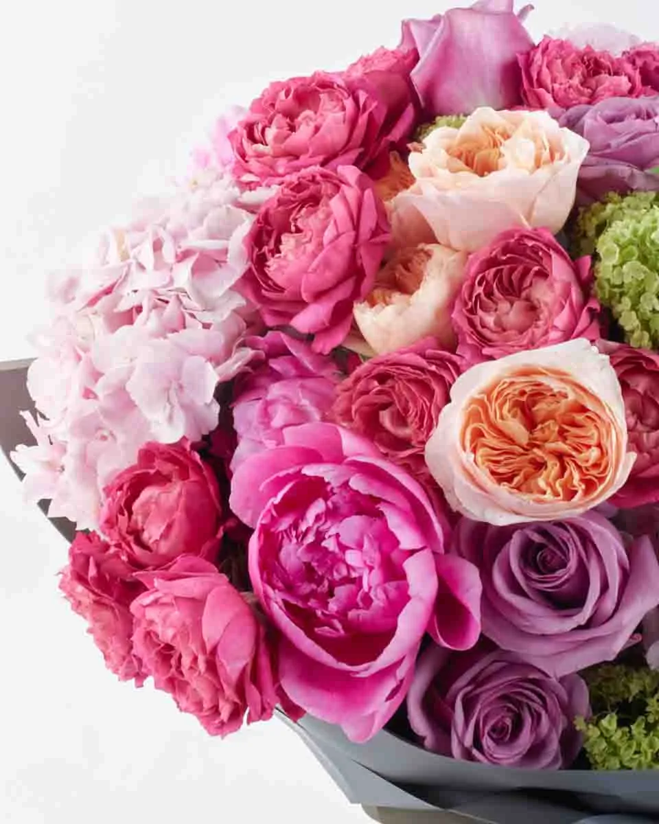 Nightingale Kisses superb JUNE 10 2023 1 Nightingale Kisses superb JUNE 10 2023 1