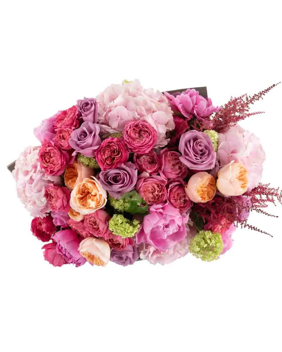 Nightingale Kisses superb JUNE 10 2023 top Nightingale Kisses superb JUNE 10 2023 top