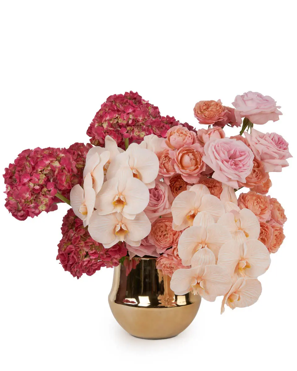 OH SO DREAMY JBF Edited 15 March 2024 OH SO DREAMY JBF Edited 15 March 2024