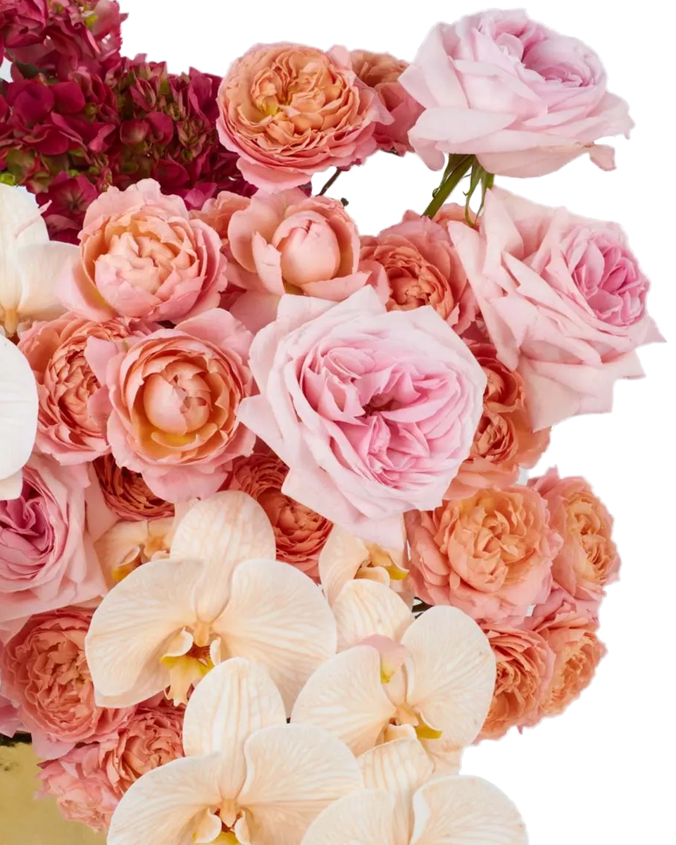 Oh So DreamyJBF VASE 3 2 1 Oh So DreamyJBF VASE 3 2 1