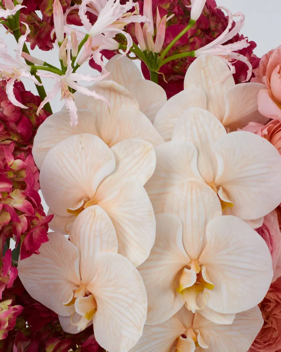 Oh So DreamyJBF VASE 3 3 Oh So DreamyJBF VASE 3 3