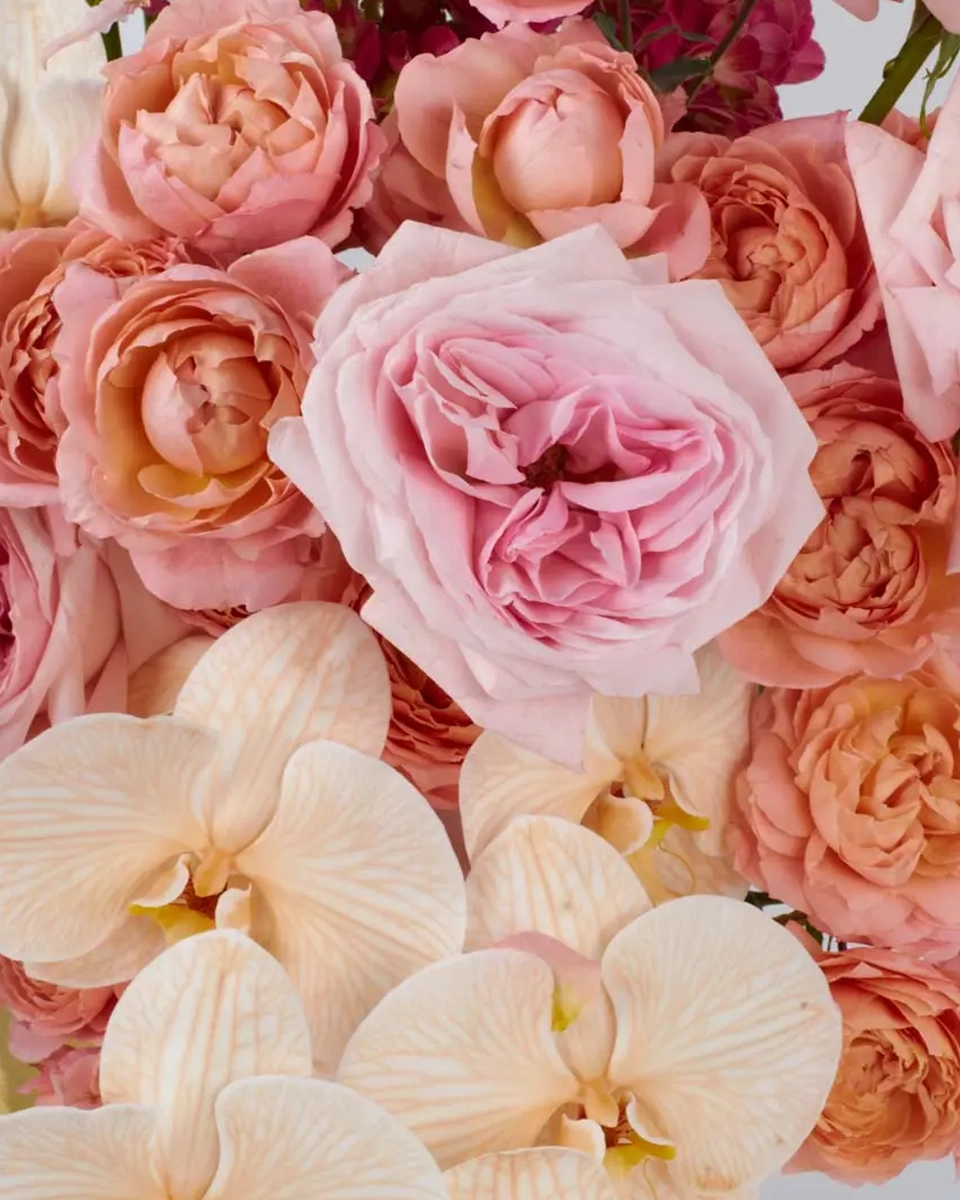 Oh So DreamyJBF VASE 3 4 1 Oh So DreamyJBF VASE 3 4 1