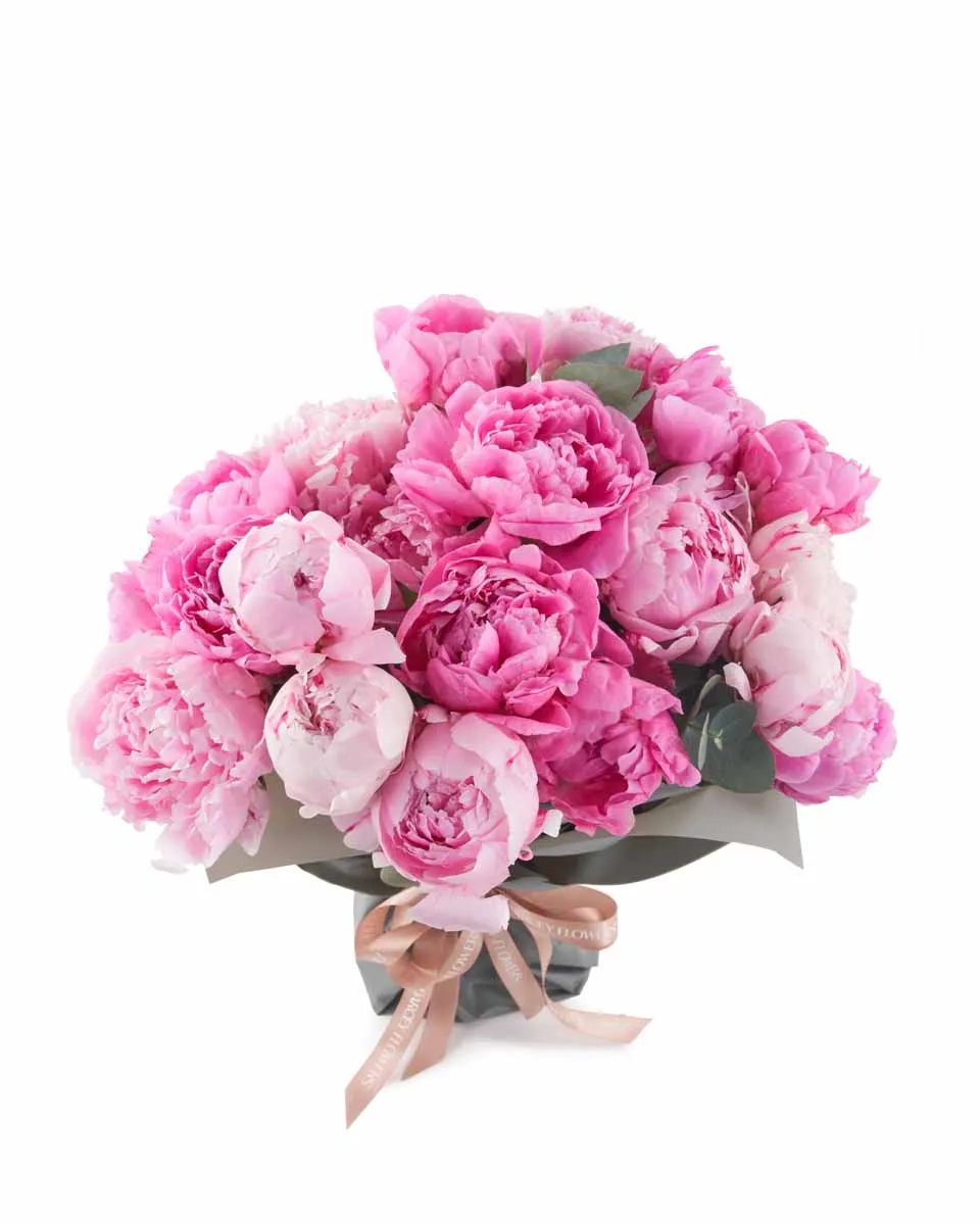 PEONY LOVER SUPERB JUNE 9 2023 PEONY LOVER SUPERB JUNE 9 2023