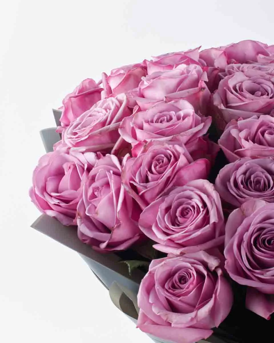 PURPLE KISSES SUPERB JUNE 9, 2023 PURPLE KISSES SUPERB JUNE 9, 2023