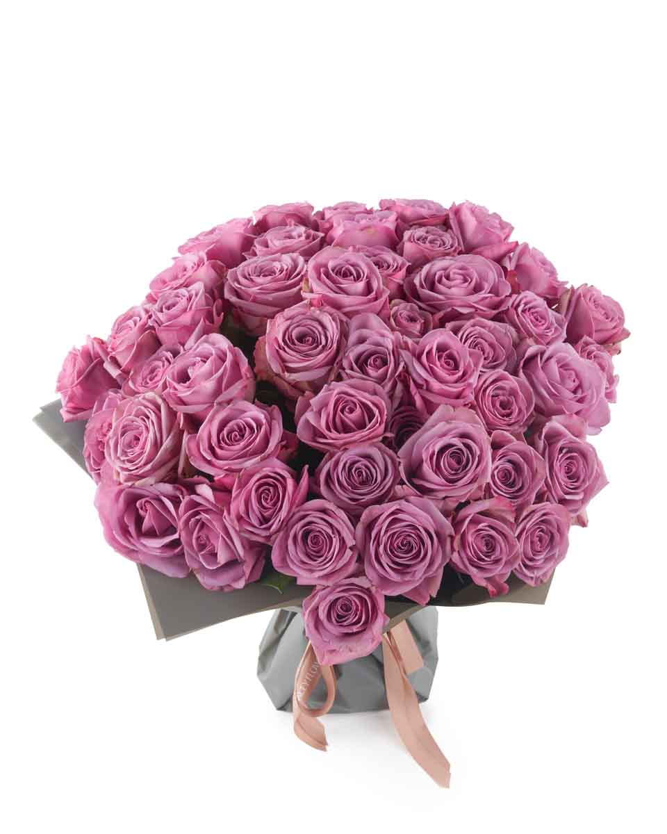 PURPLE KISSES SUPERB JUNE 9, 2023 PURPLE KISSES SUPERB JUNE 9, 2023