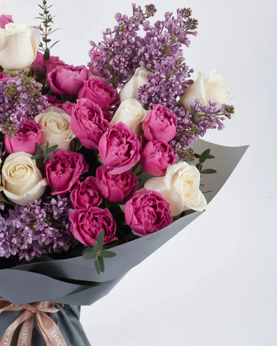 PURPLE WISH IMPRESSIVE 2 PURPLE WISH IMPRESSIVE 2