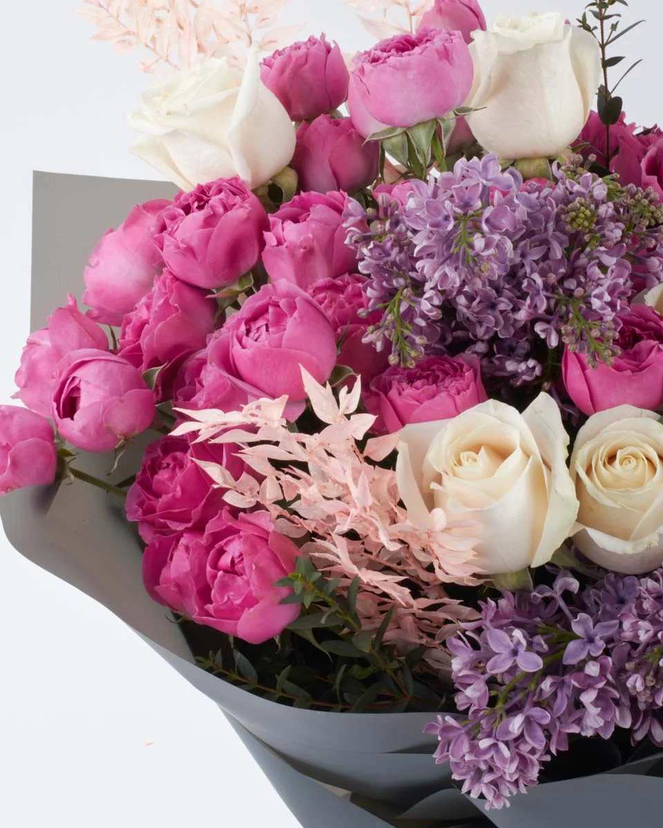 PURPLE WISH IMPRESSIVE PURPLE WISH IMPRESSIVE