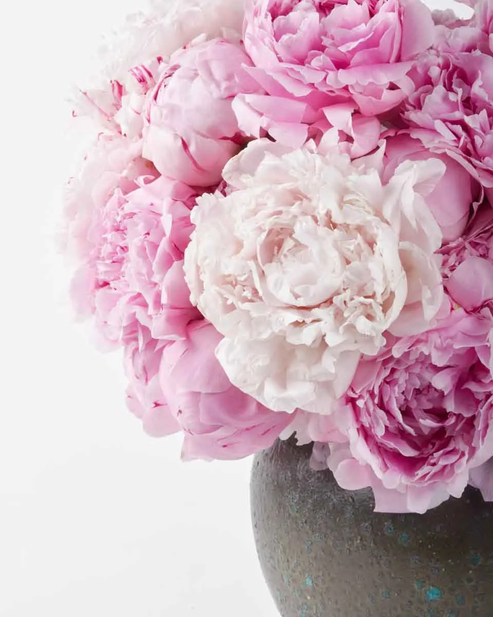 Peonies For You green vase JUNE 14 2023 Peonies For You green vase JUNE 14 2023