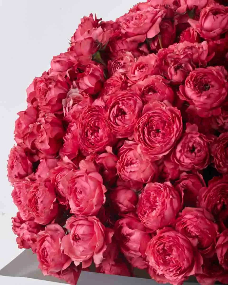 Raspberry Love JUNE 13 2023 1 Raspberry Love JUNE 13 2023 1