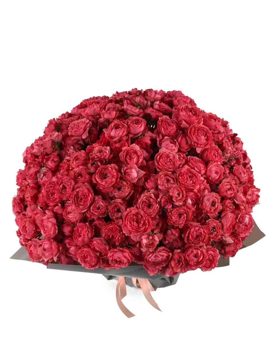 Raspberry Love JUNE 13 2023 Raspberry Love JUNE 13 2023