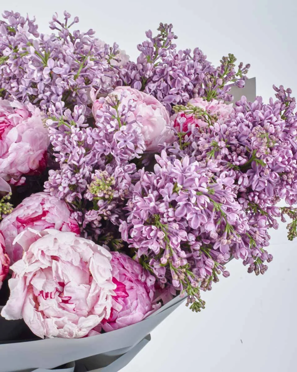 SPRING FLING 1 SPRING FLING 1