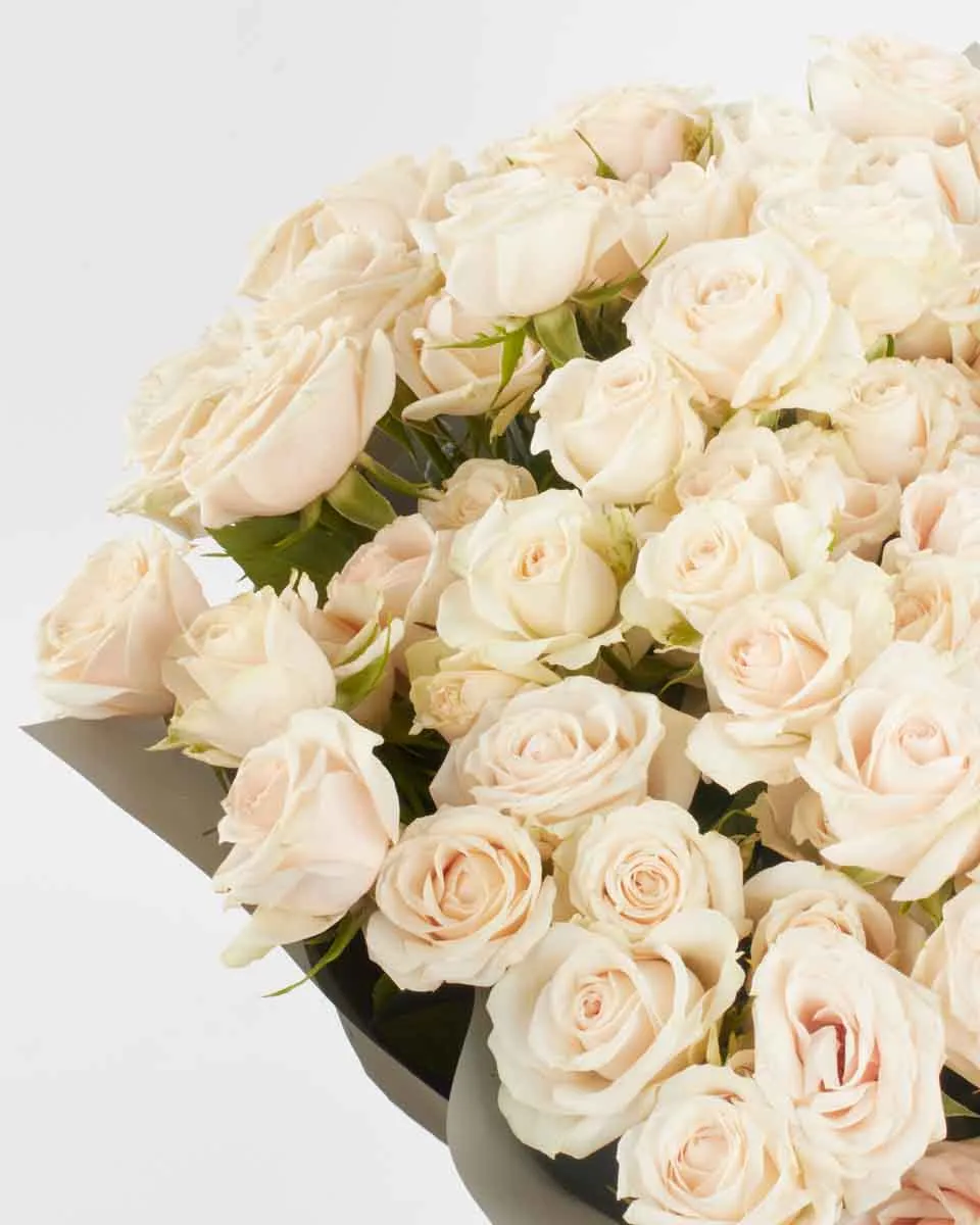 SUPER BUBBLES IMPRESSIVE JUNE 6 2023 6 1 SUPER BUBBLES IMPRESSIVE JUNE 6 2023 6 1