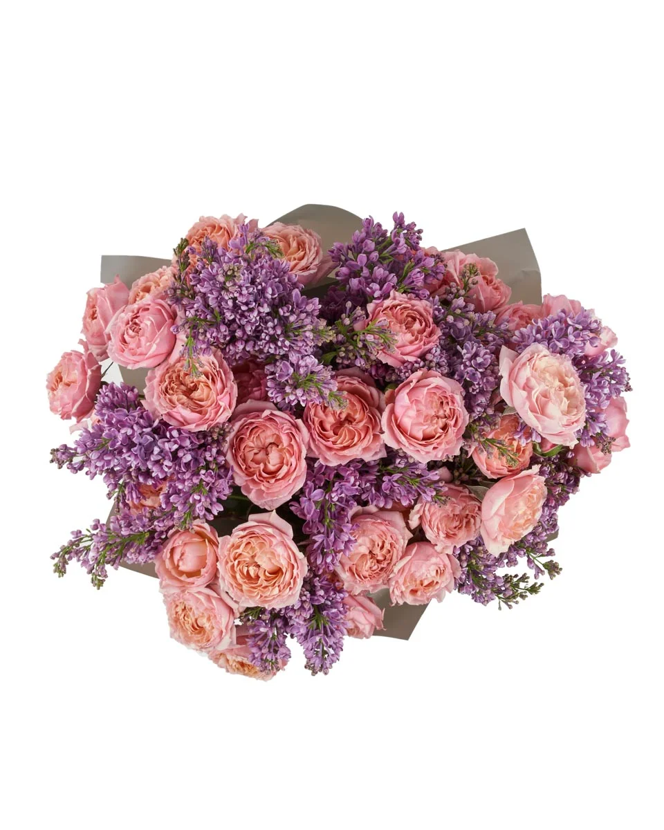 Syringa SalmonIWD B8 TOP ONE SIZE copy Syringa SalmonIWD B8 TOP ONE SIZE copy