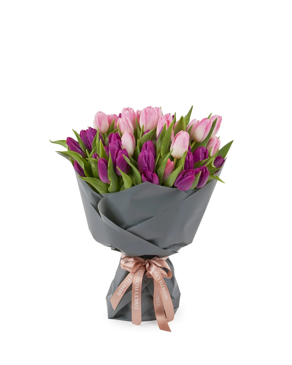 TULIP MAGIC ONE SIZE FRONT TULIP MAGIC ONE SIZE FRONT